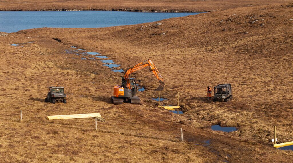 Natural Capital by Fowler Fortescue – Independent Chartered Surveyors specialising in Rural Asset, Land & Estate Management
