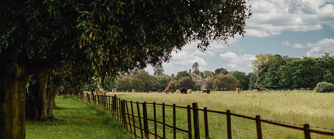 Estate Management by Fowler Fortescue – Independent Chartered Surveyors specialising in Rural Asset, Land & Estate Management
