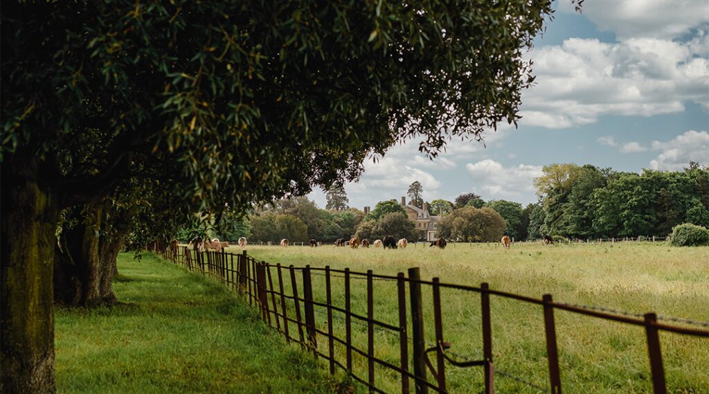 Estate Management by Fowler Fortescue – Independent Chartered Surveyors specialising in Rural Asset, Land & Estate Management