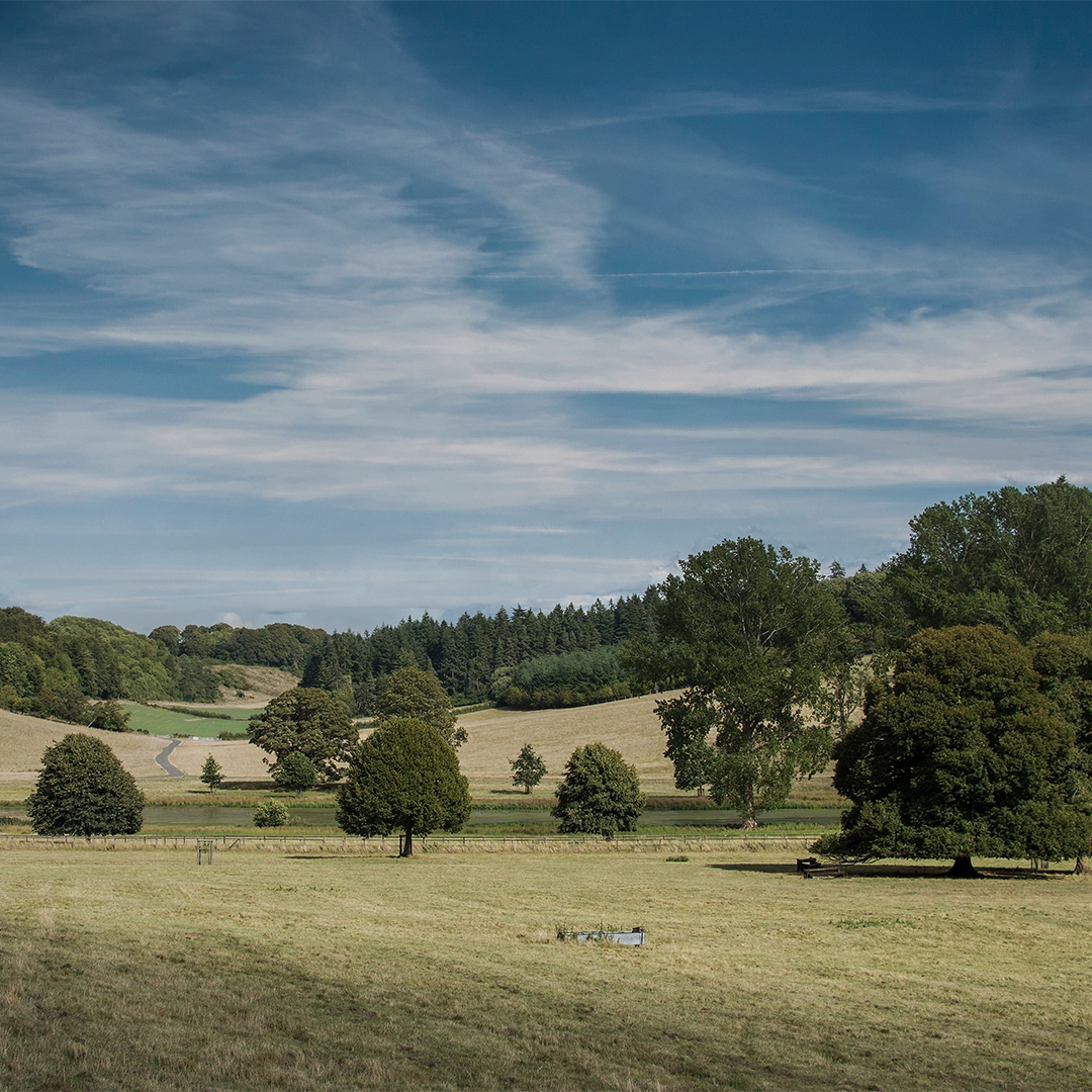 Fowler Fortescue – Independent Chartered Surveyors specialising in Rural Asset, Land & Estate Management