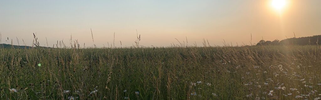 Our People, Fowler Fortescue – Independent Chartered Surveyors specialising in Rural Asset, Land & Estate Management