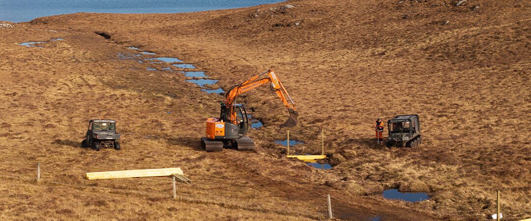 Natural Capital by Fowler Fortescue – Independent Chartered Surveyors specialising in Rural Asset, Land & Estate Management